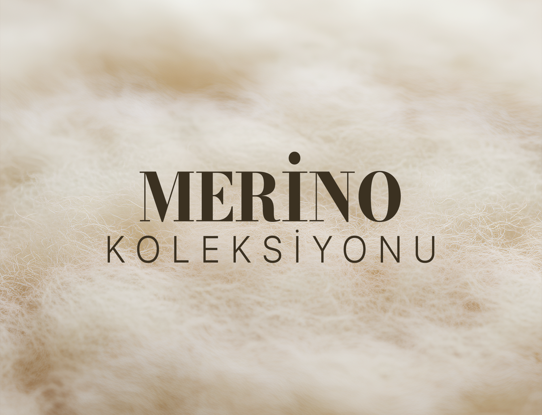 NORFOLK TEKSTİL VE DIŞ TİCARET ANONİM ŞİRKETİ — image 5